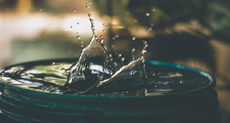 Care of water.  PARTCH sustainable fashion brand | Miami 